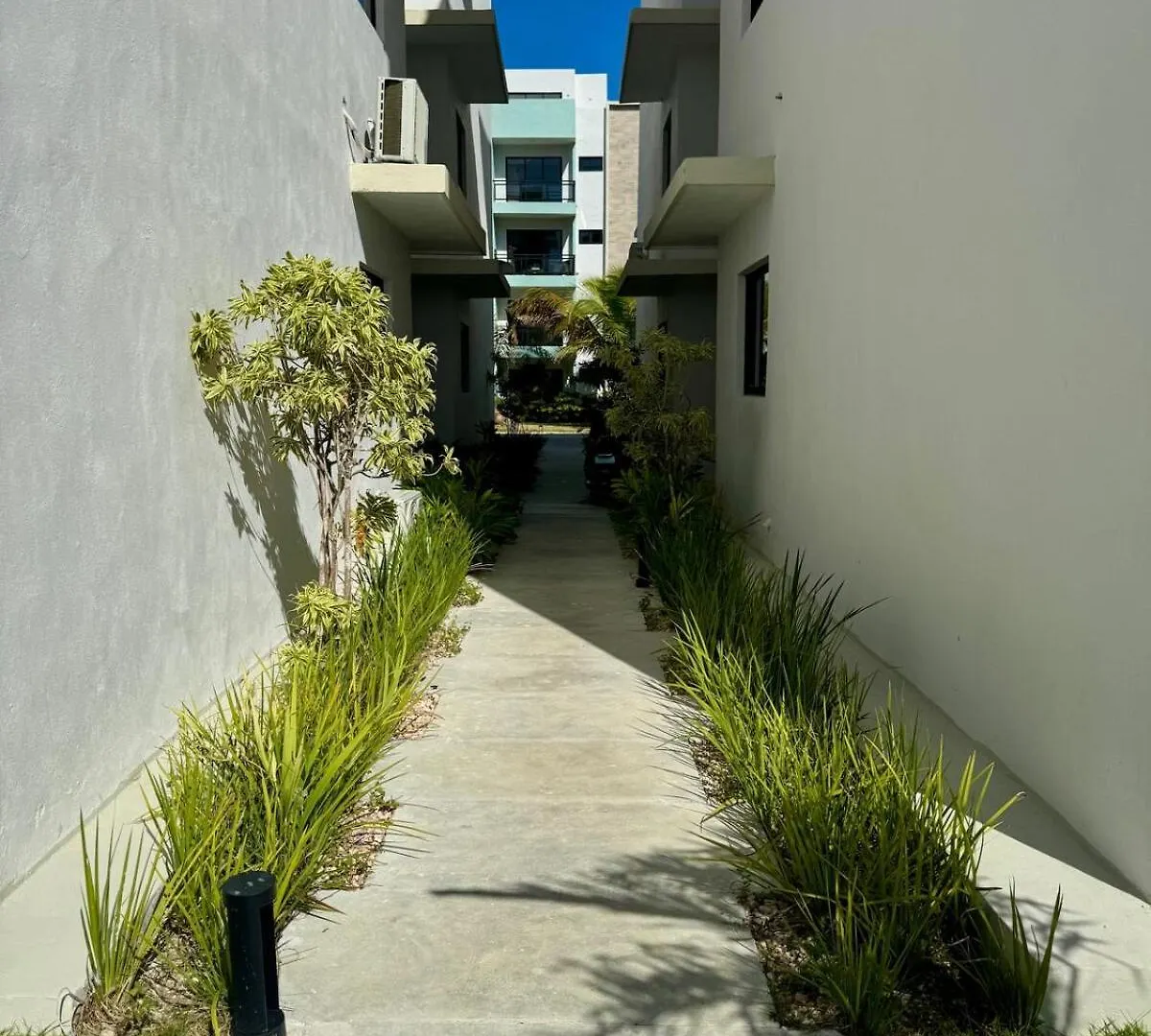 Διαμέρισμα Palm Vibe Condo - Downtown Πούντα Κάνα